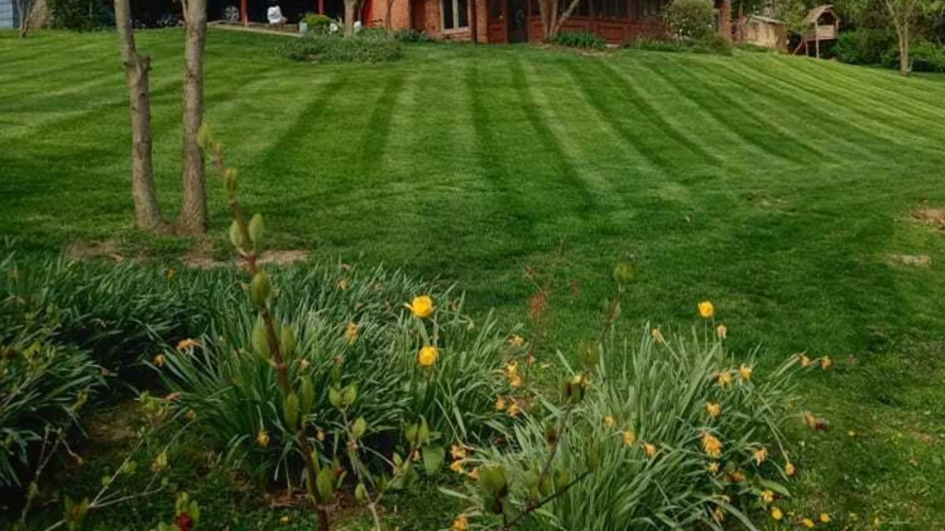 Spring Fertilization Will Set up Your Lawn for a Healthy Growing Season!