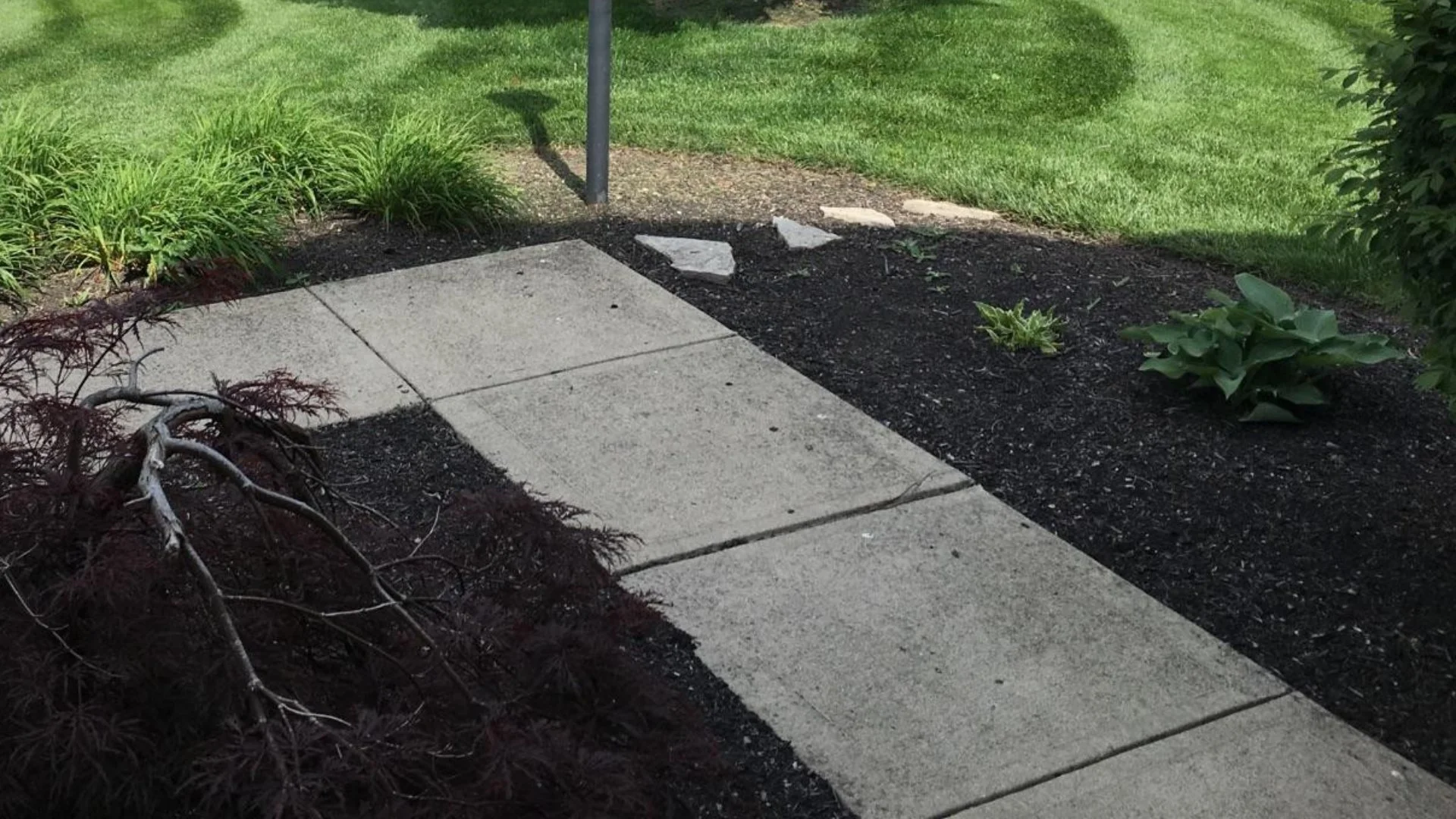 The Benefits of Mulch Go Beyond Aesthetics - It Also Aids in Plant Health!