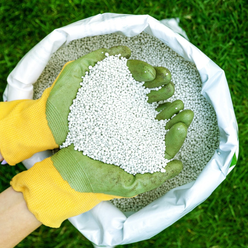 Fertilizer Is Essential for a Healthy Lawn but Too Much Can Be Bad!