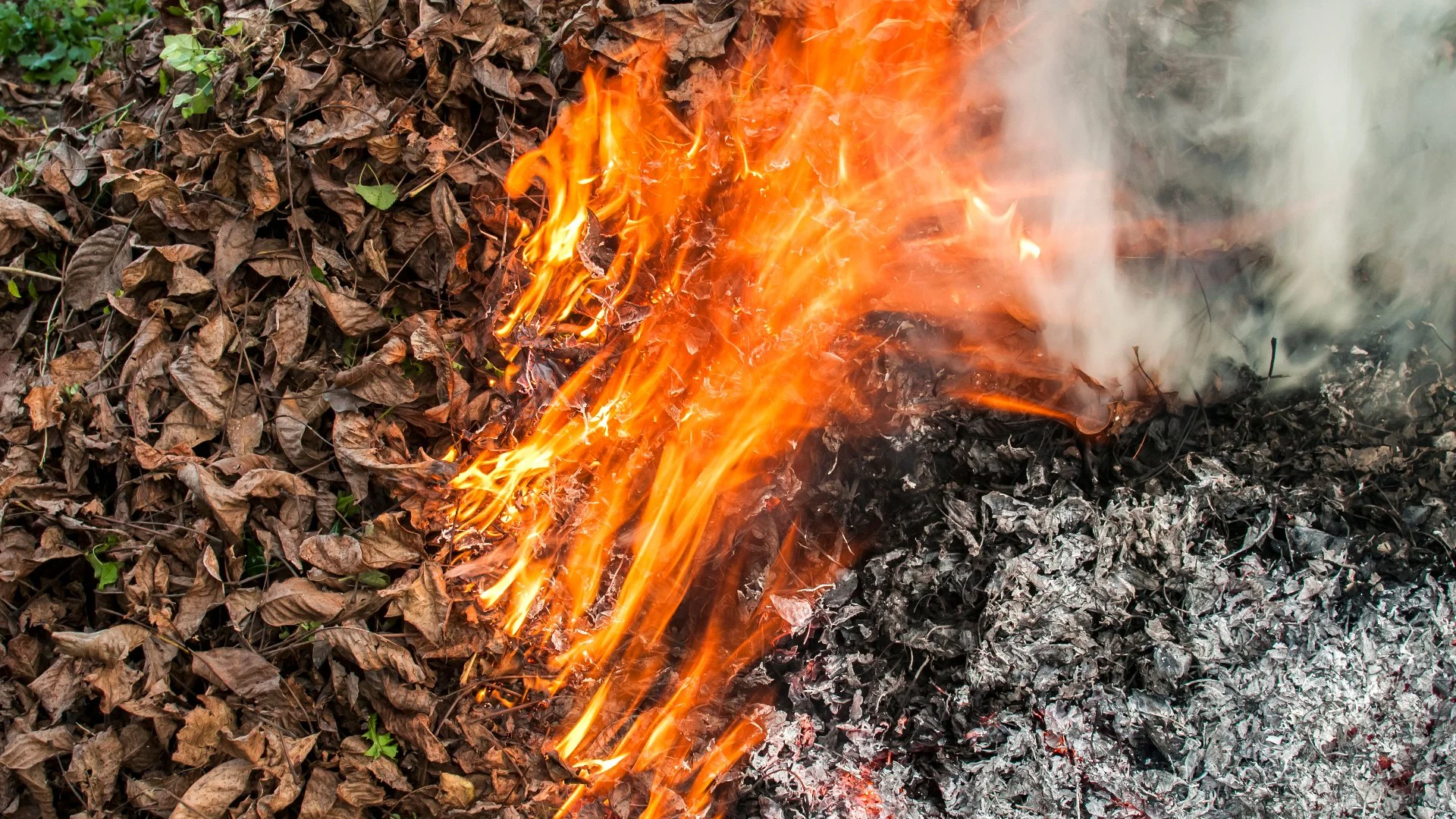 Can You Burn Leaf Piles in Delaware, Ohio?