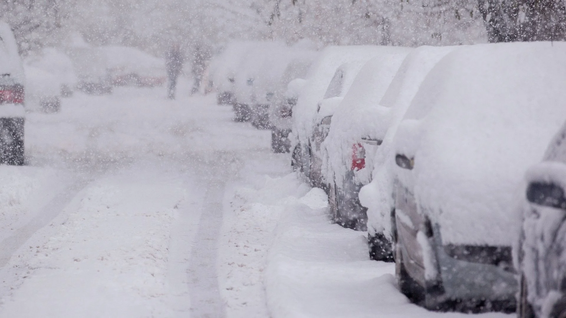 What to Look for When Choosing a Commercial Snow Removal Company