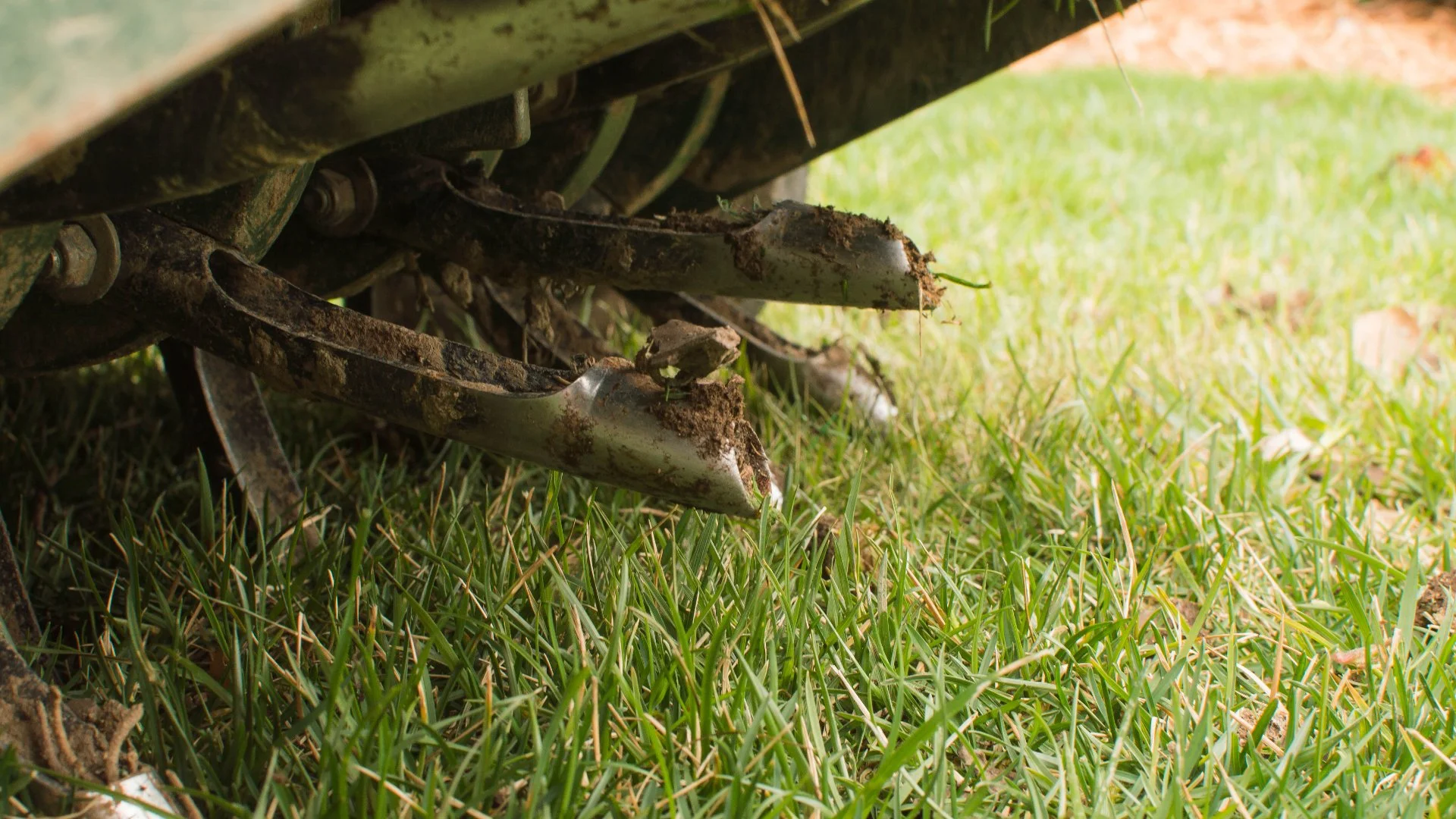 Do I Need to Aerate My Lawn Every Year or Is It Okay to Skip It?