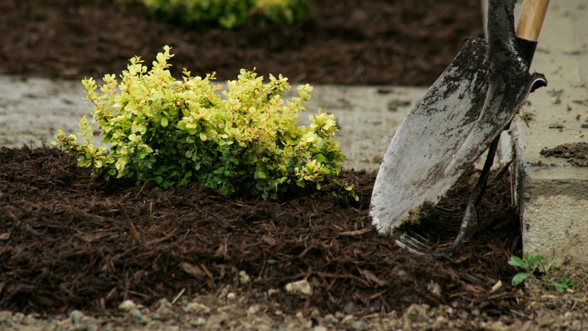 Common Mistakes You Could Make if You Attempt to Install Mulch on Your Own