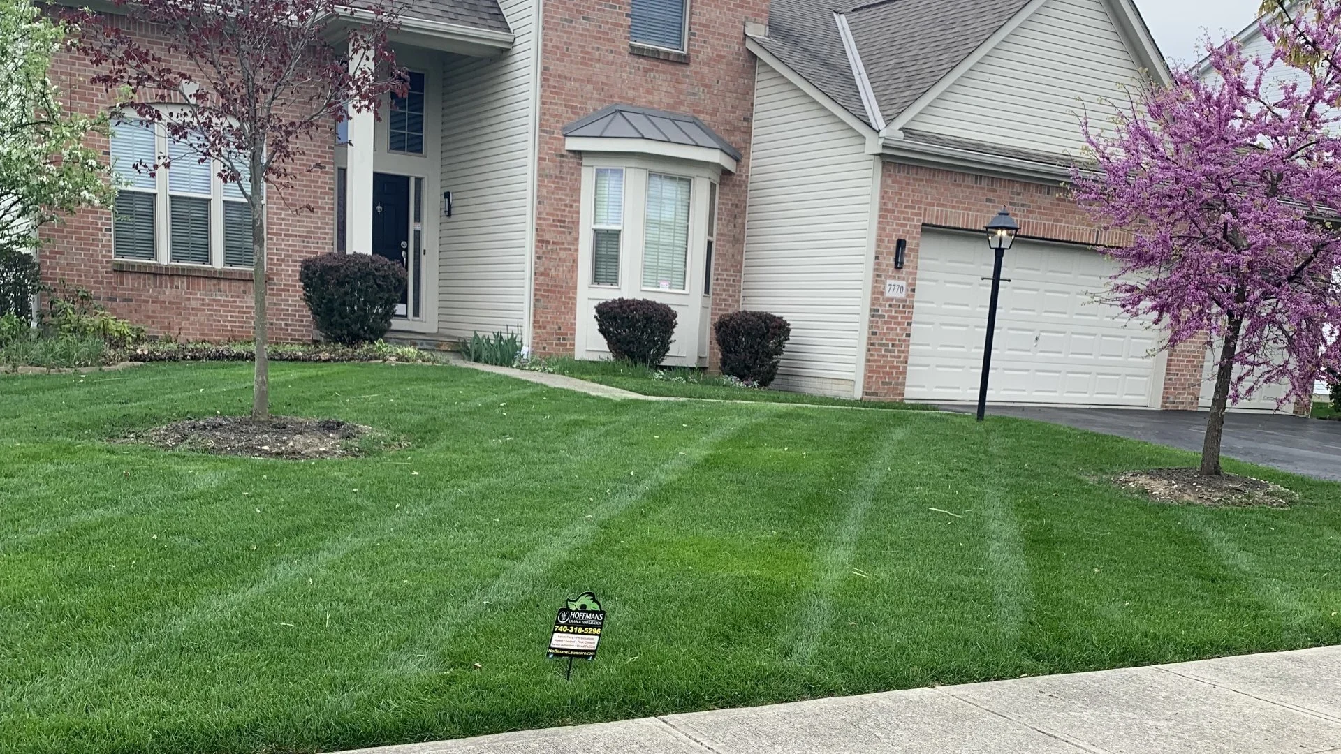 How Overseeding Helps Your Grass Crowd Out Weeds