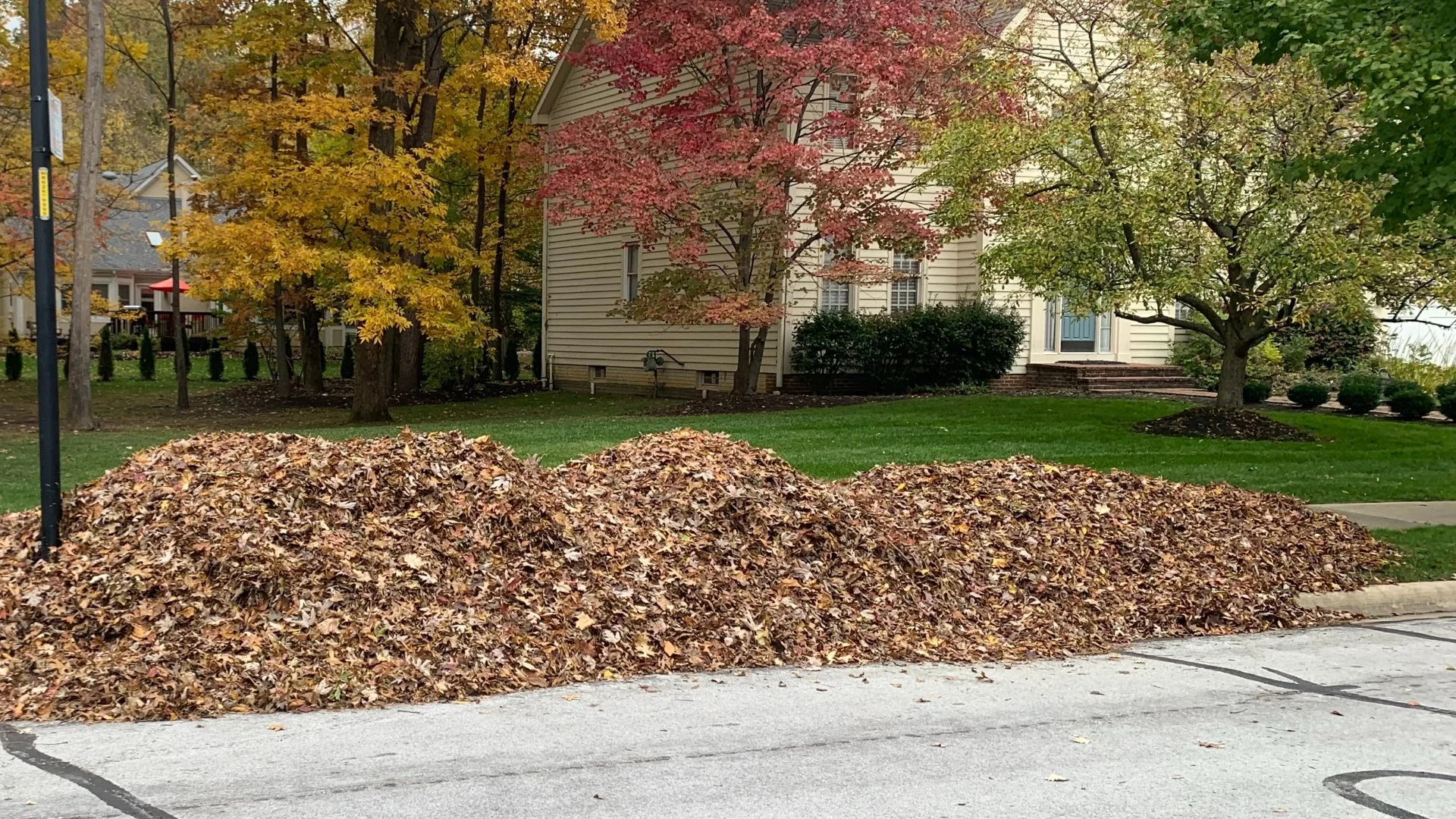 How Much Will a Professional Leaf Removal Service Cost?