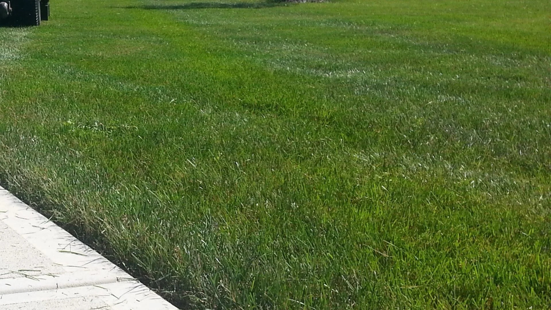 What Month Is the Best Time to Fertilize Your Lawn?