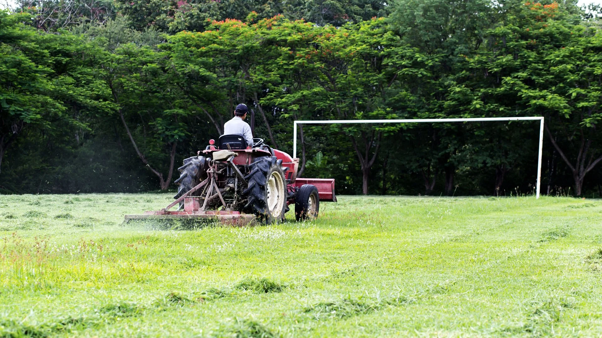 How Much Does Brush Hogging Cost?