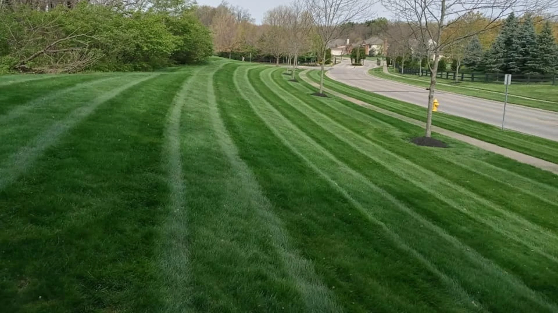 Should You Mow Your Lawn at a Certain Time of the Day?