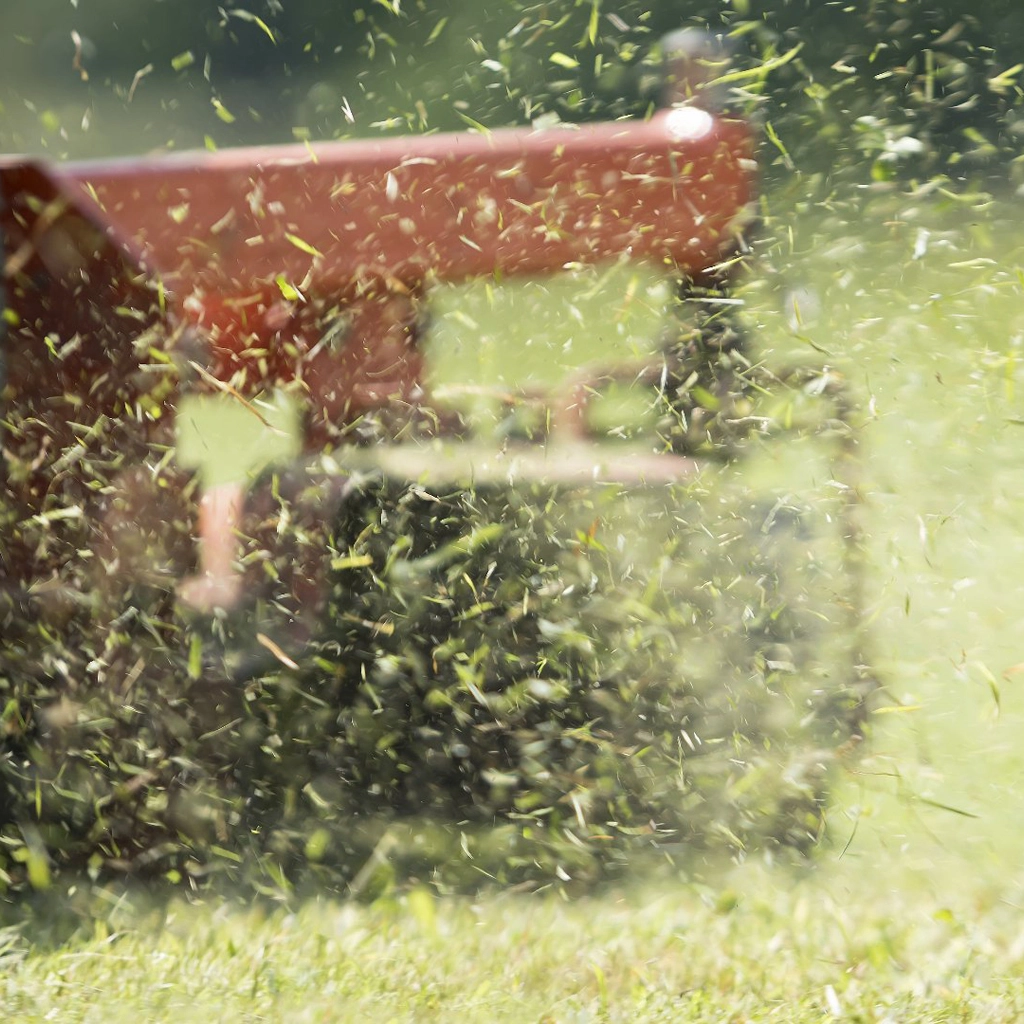 The Benefits of Mulching the Grass Clippings After Mowing Your Lawn