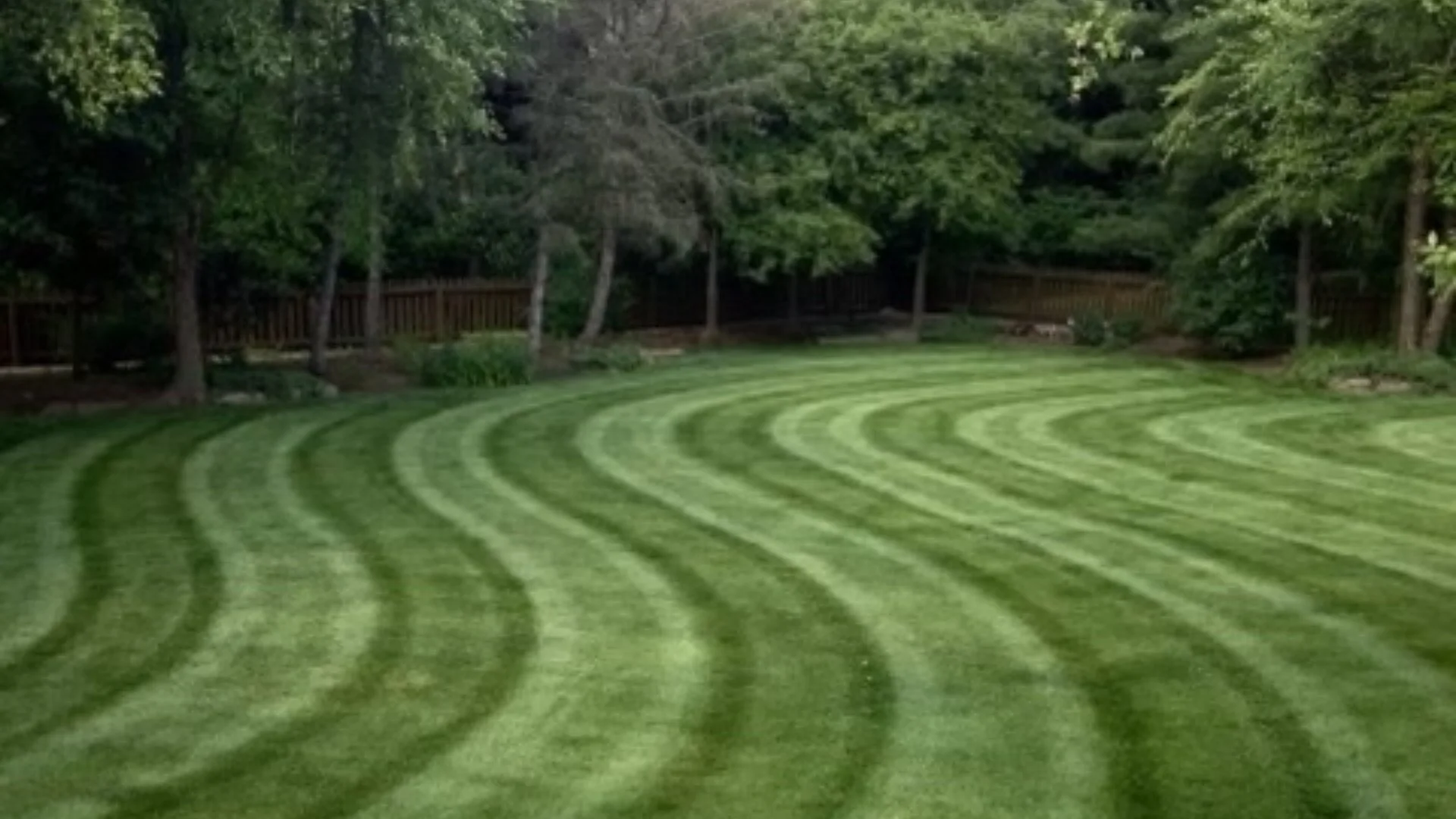 Why Is Your Lawn Turning Brown After Mowing?