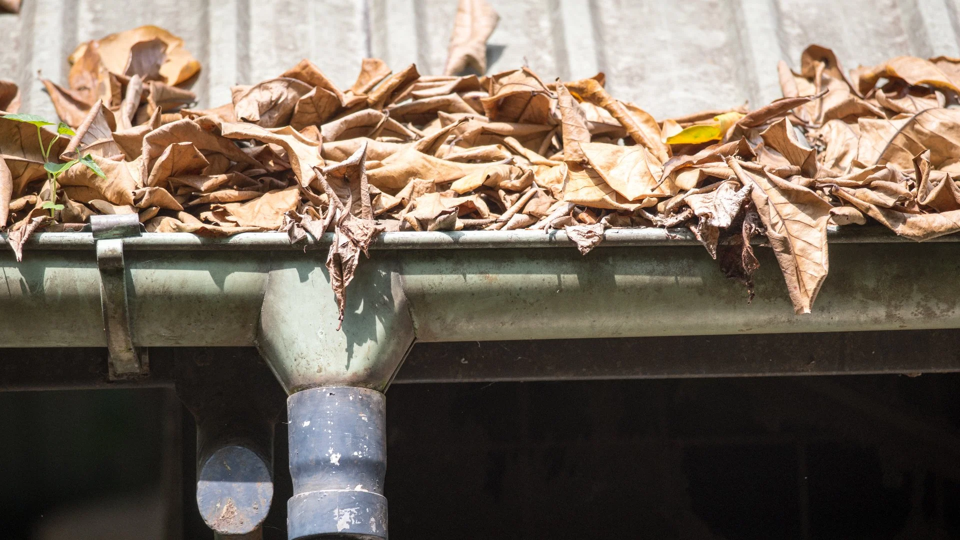 What Are Signs of Clogged Gutters