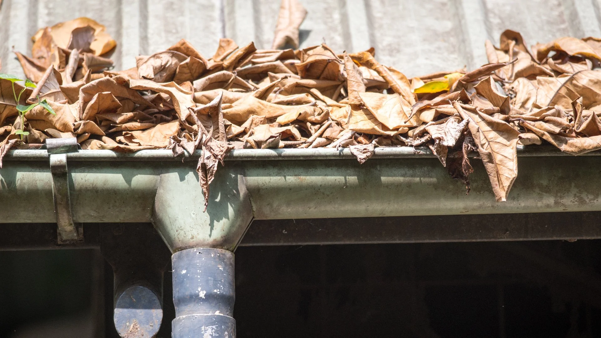 How Often Should Gutters Be Cleaned?
