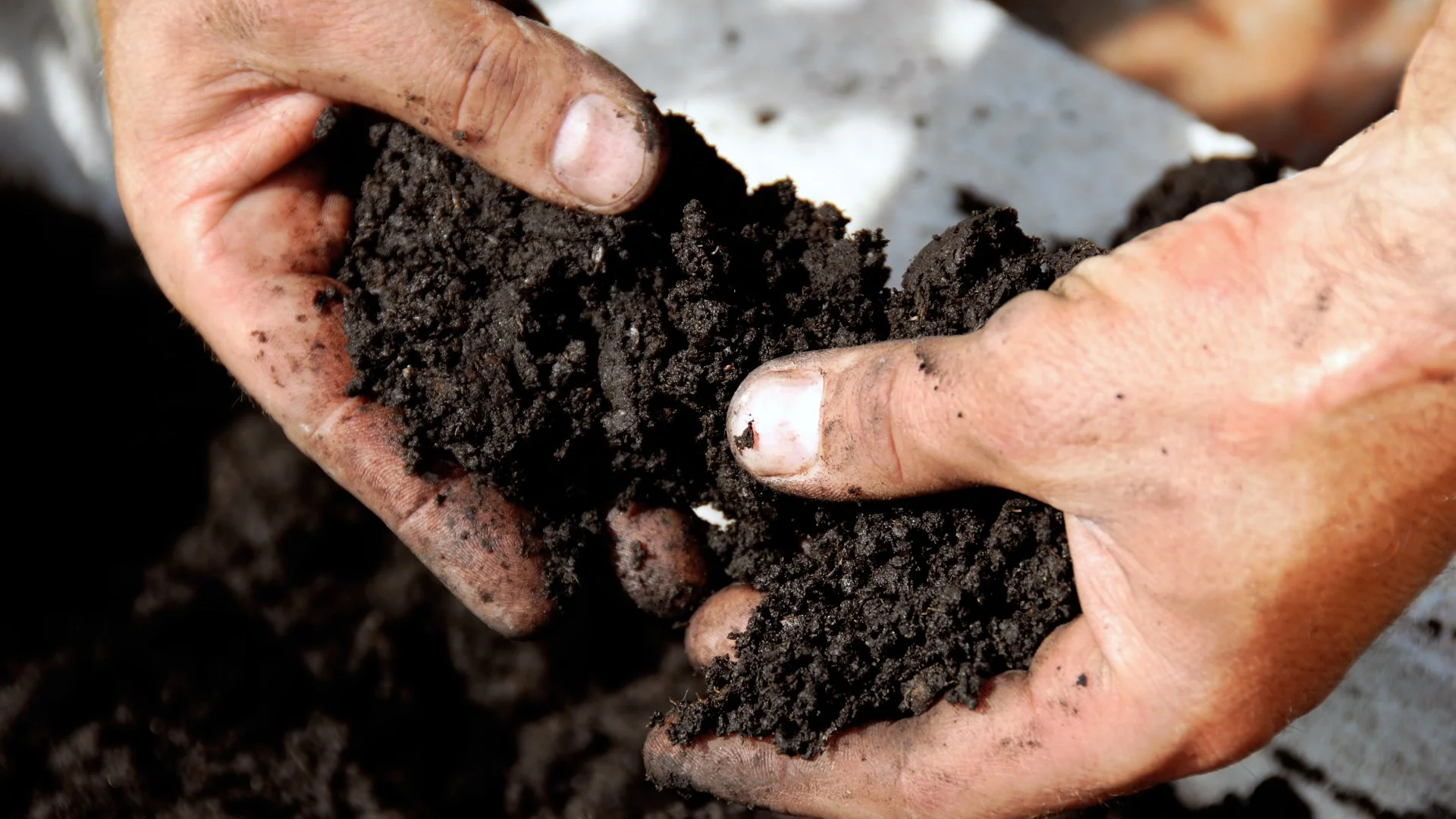 Pair Topdressing With Aeration & Overseeding in the Fall