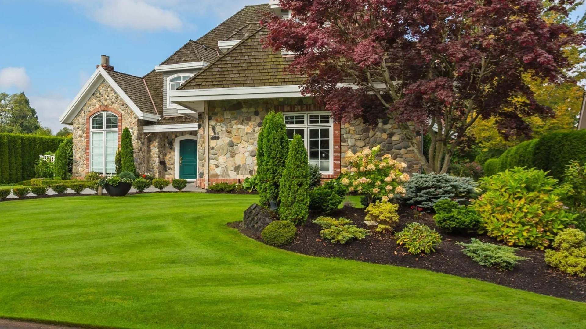 Ensure Your Plants Are Pruned Correctly With These Tips!