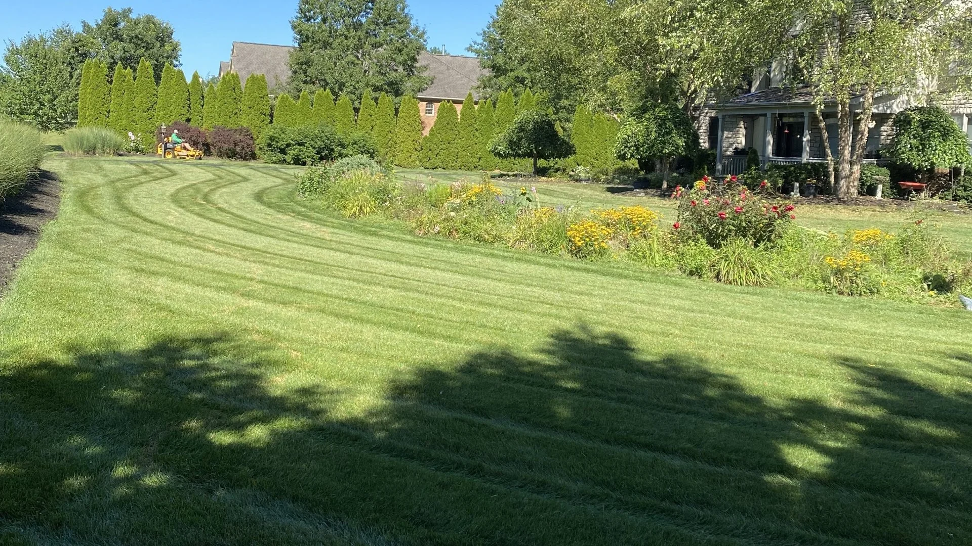 Get Your Lawn Ready for Winter With These Fall Lawn Care Services