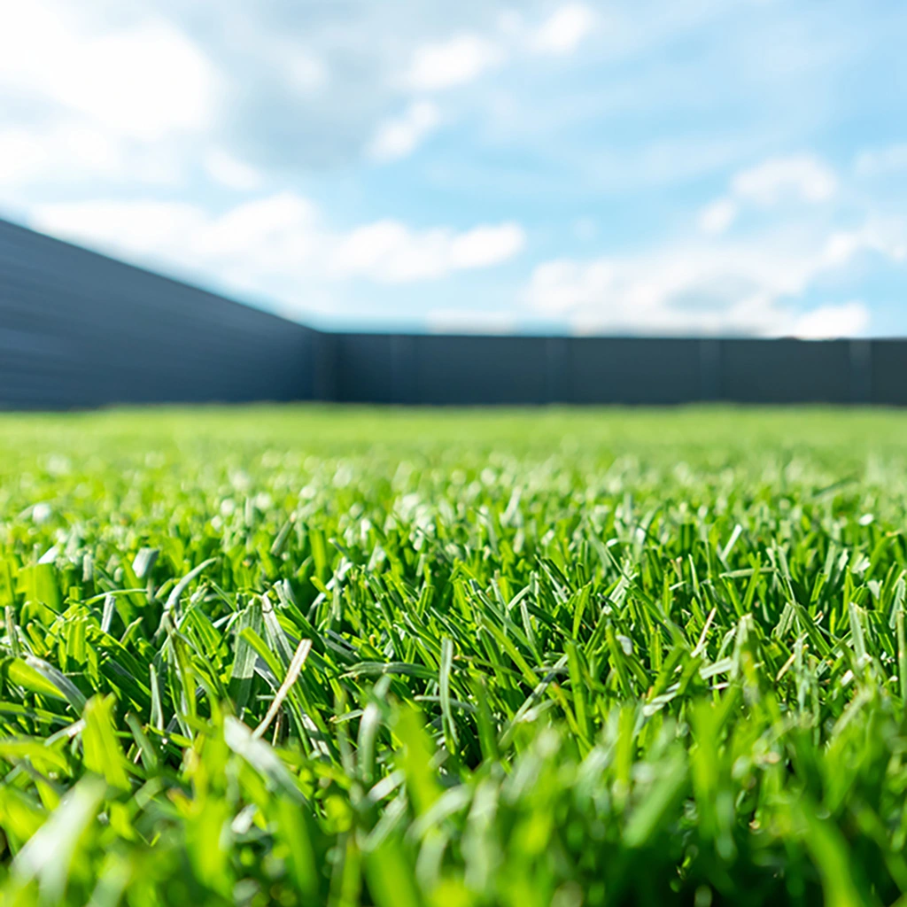 Health lawn after services performed in Delaware, OH.