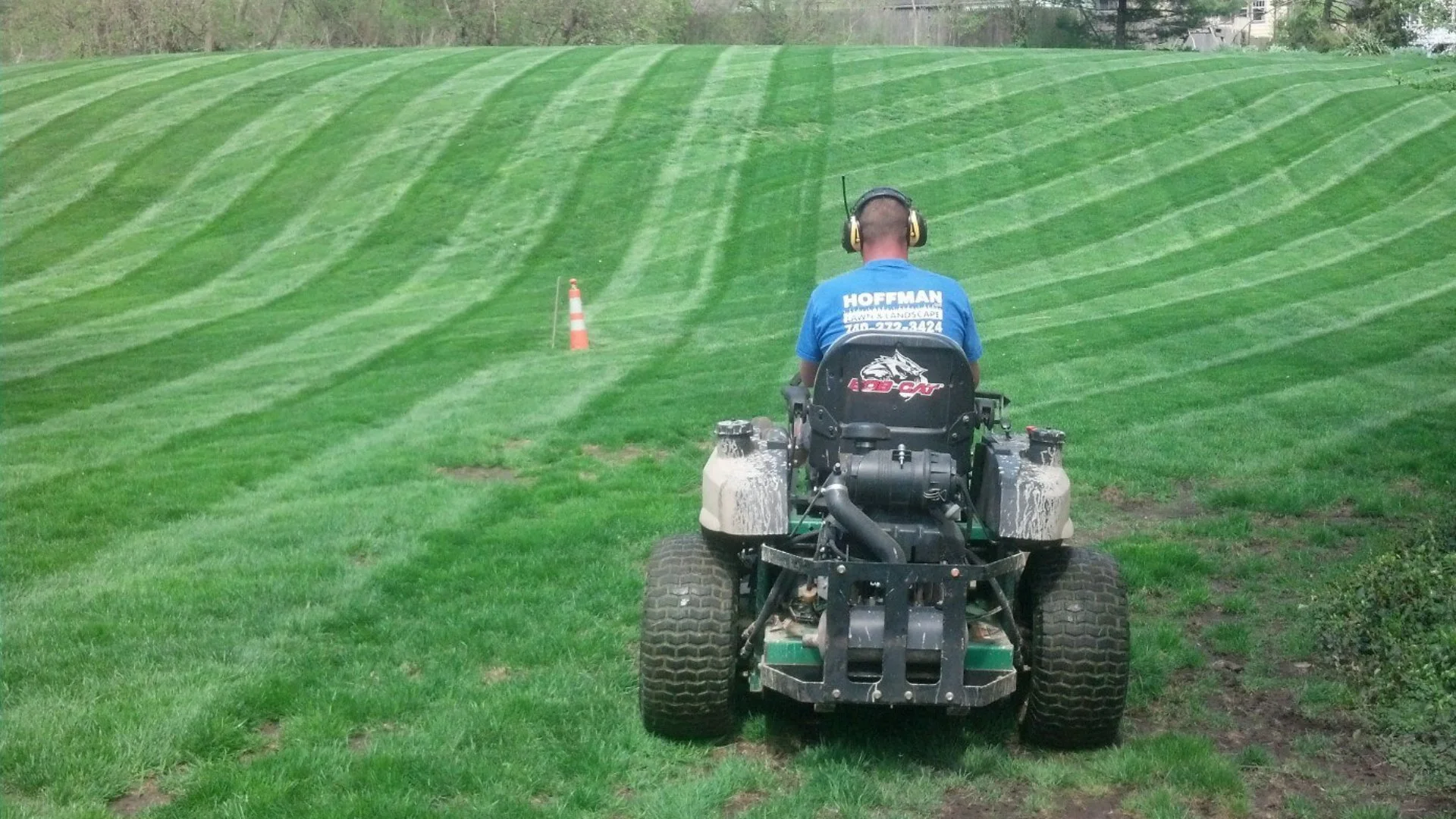 How Often Should You Be Mowing Your Grass in Ohio?