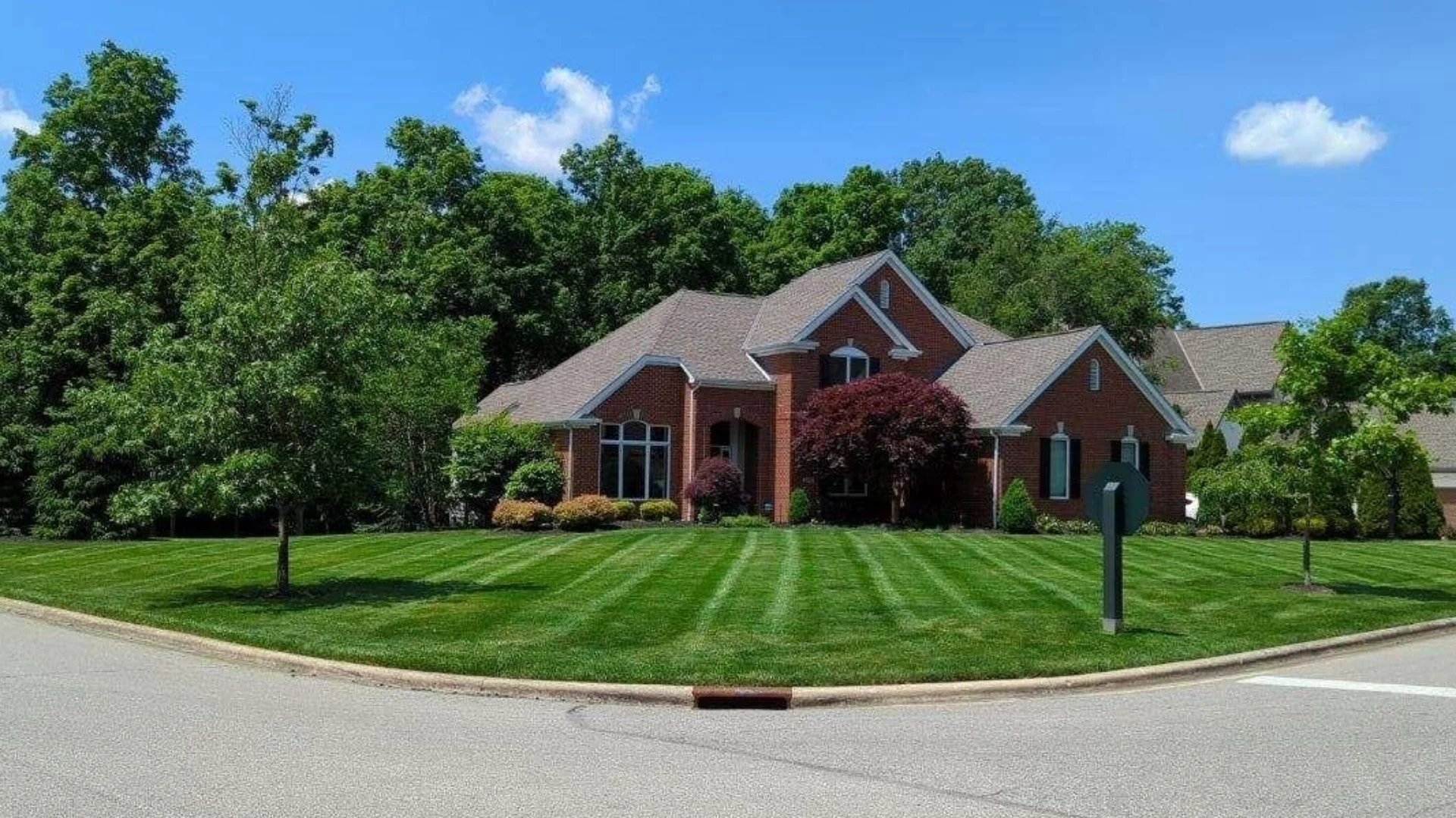 Why Didn't Your Grass Seed Grow After Overseeding?