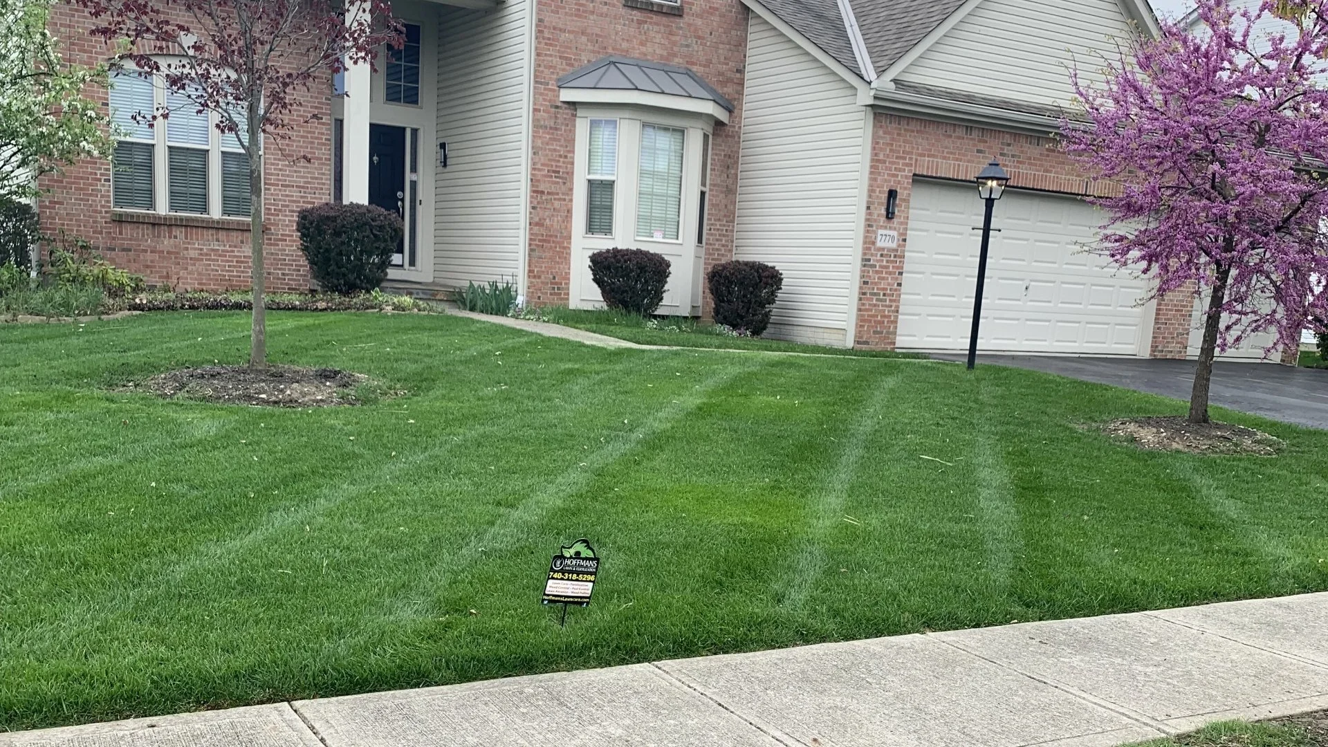 What Is the Best Month to Have Your Lawn Aerated?