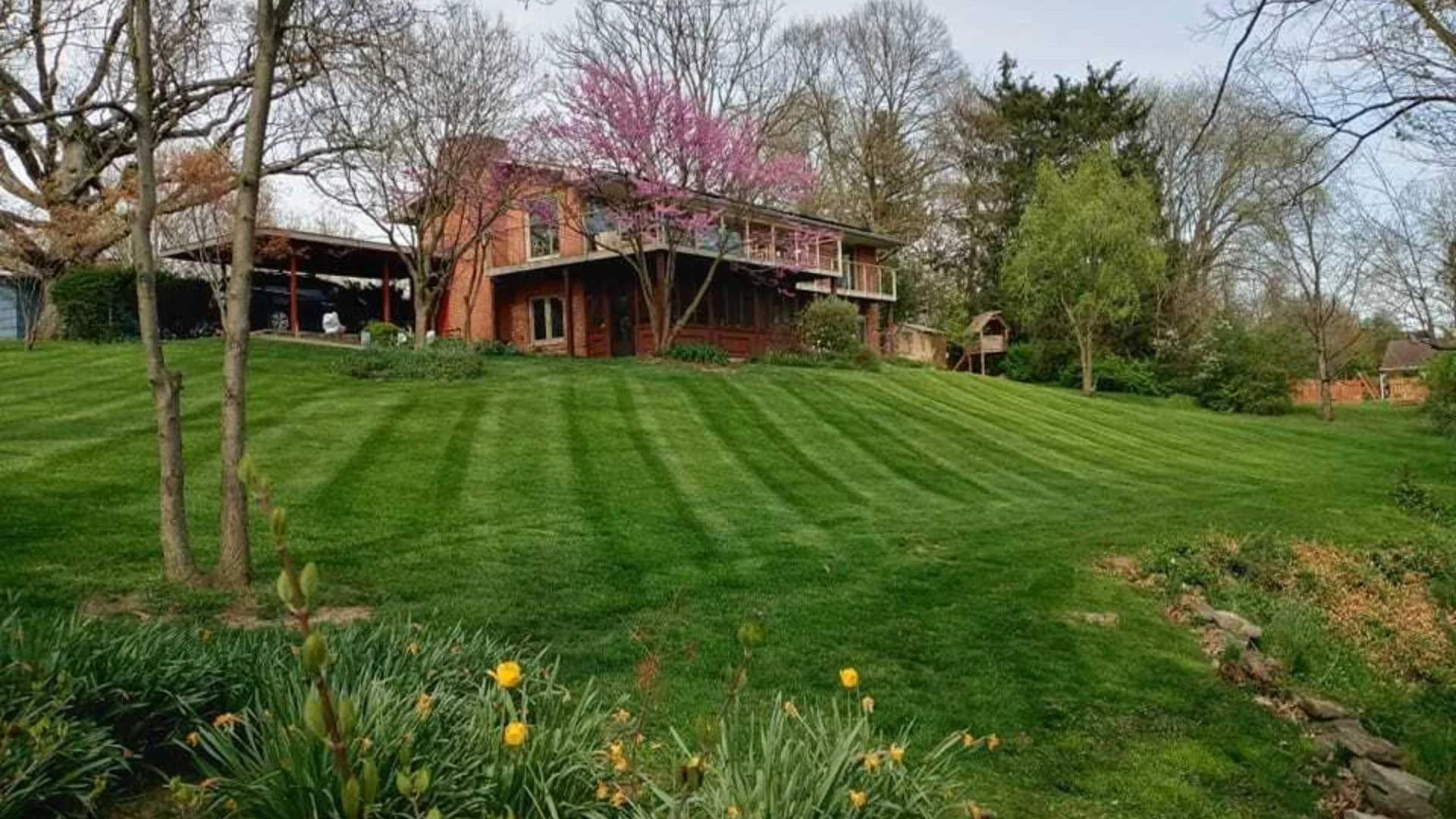 How Often Should You Topdress Your Lawn?