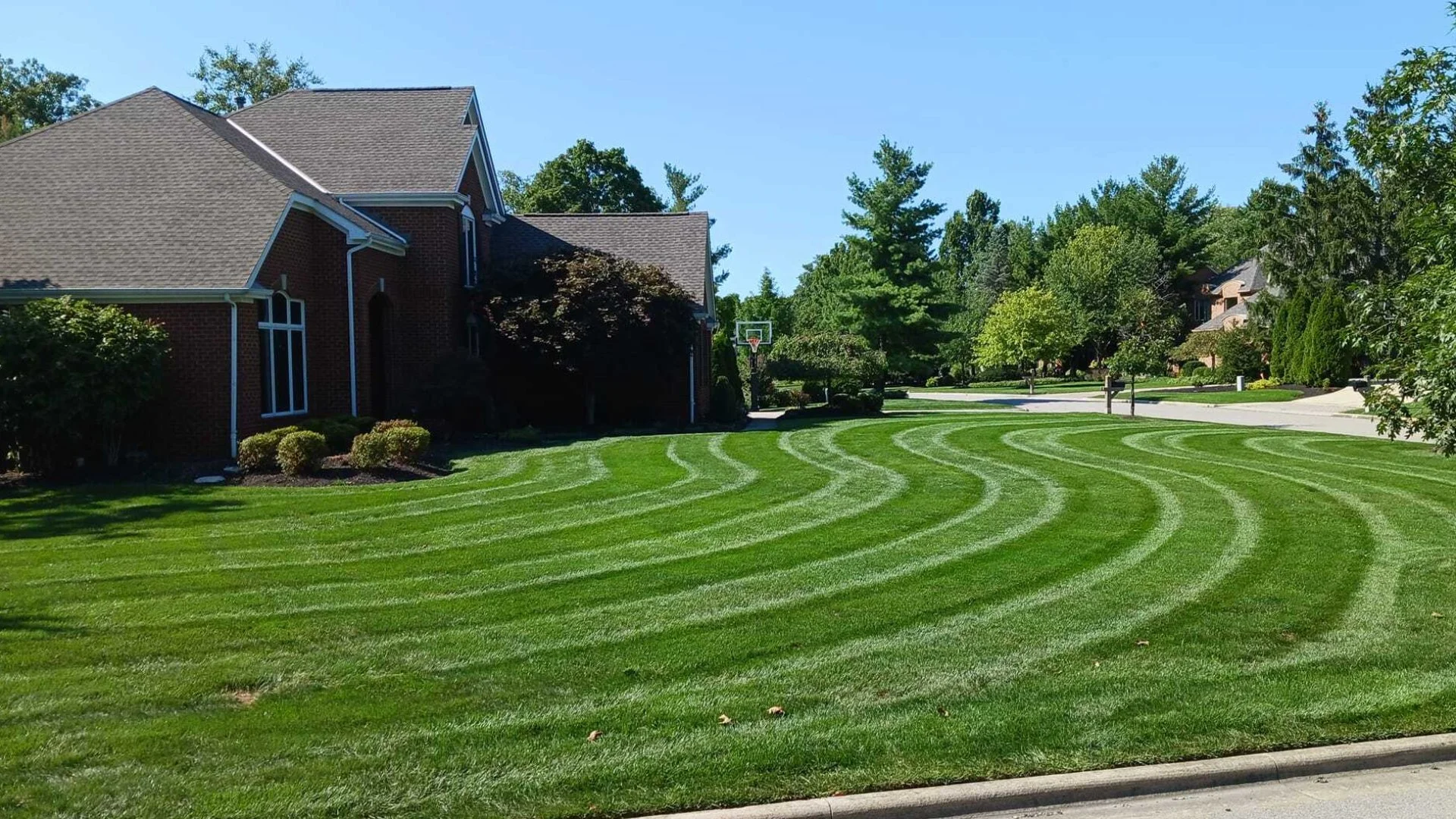 These Factors Influence Fertilizer Absorption Time