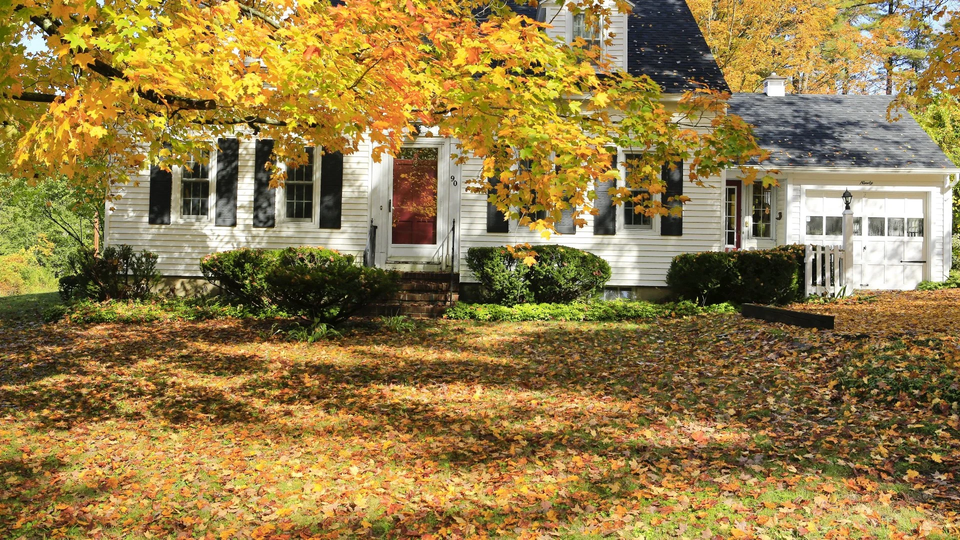 What Will Leaves Do to Your Grass if They’re Left on Your Lawn All Winter?