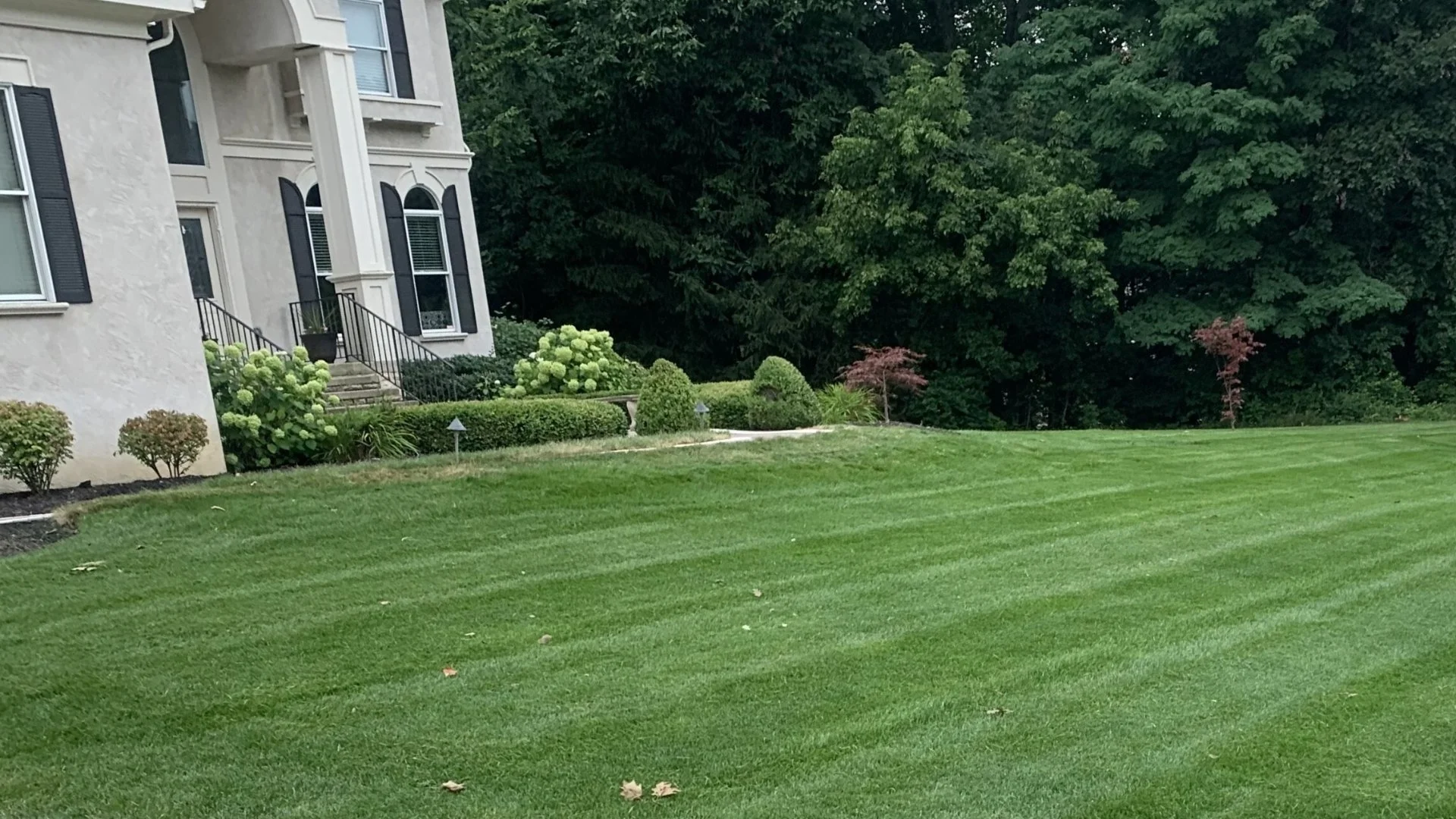 Is Aerating a Lawn Worth It?