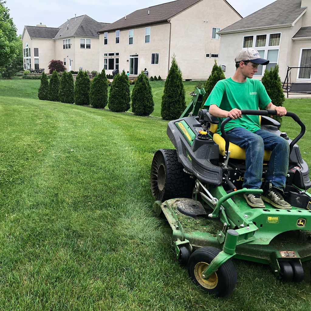 Lawn maintenance expert using a mower near landscape trees in Westerville, Ohio.