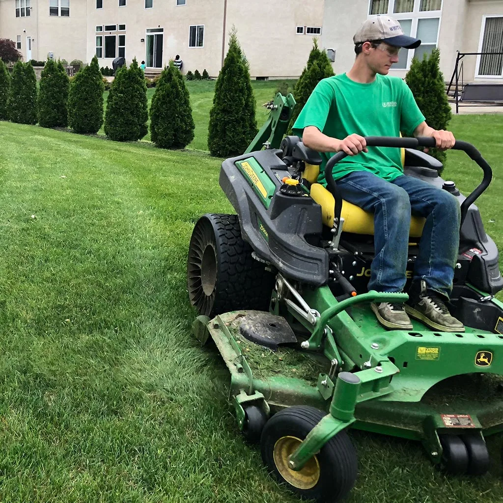 Lawn technician mowing lawn in Delaware, OH.