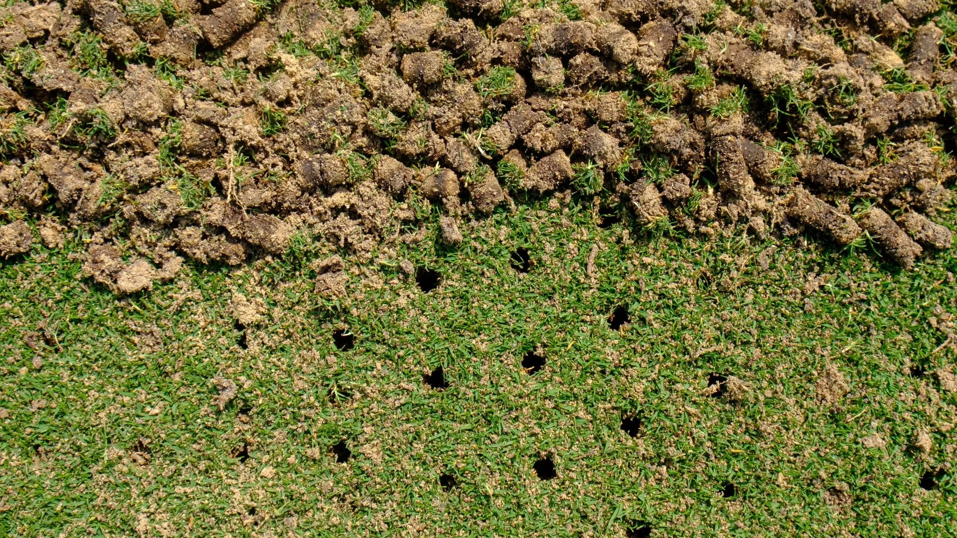 Help Your Lawn Recover After Core Aeration by Doing These Things