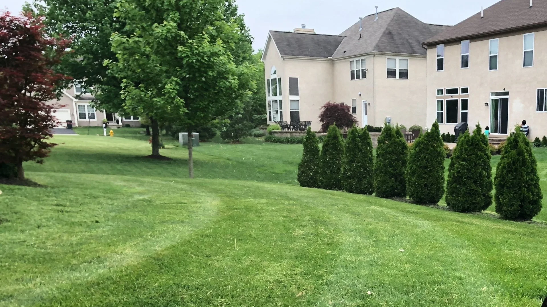 Signs That Indicate Your Lawn Needs a Fertilizer Treatment