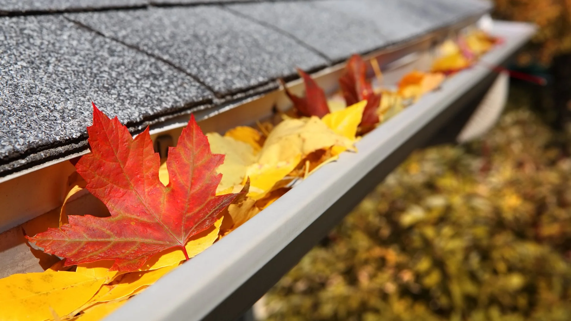 Is Professional Gutter Cleaning Worth It?