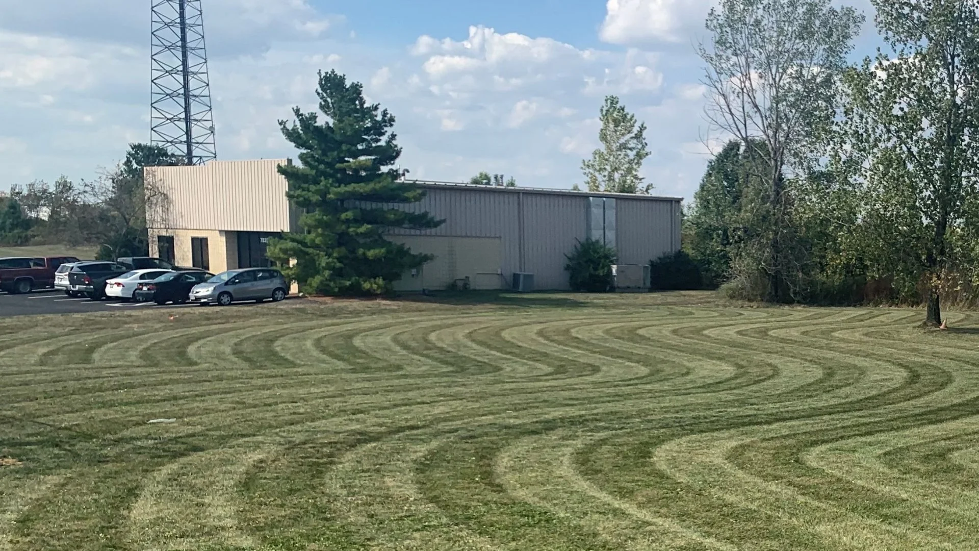 How Quickly Does Fertilizer Improve Your Lawn?