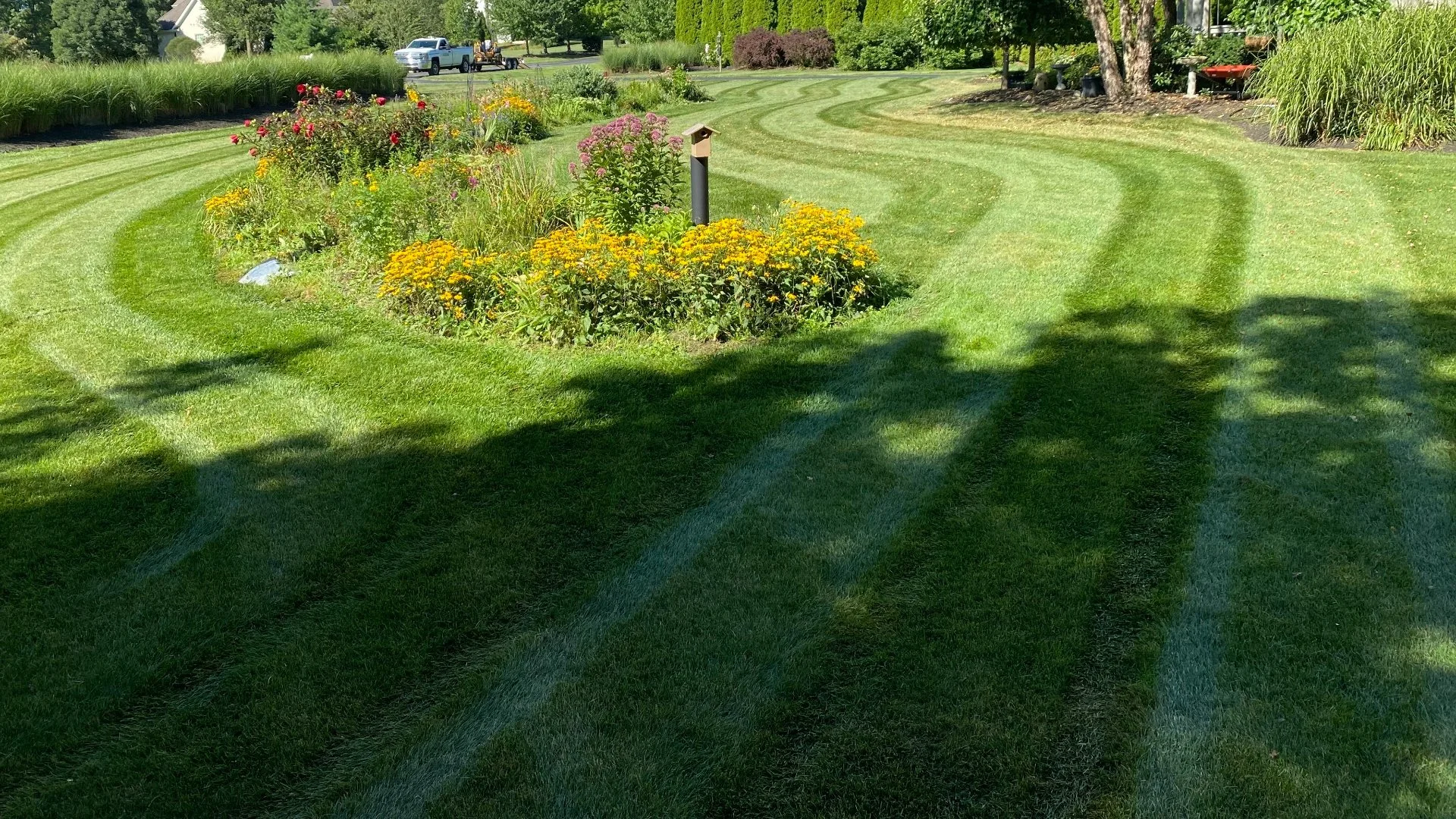 Spring Lawn Care That'll Set the Stage for a Thriving Lawn