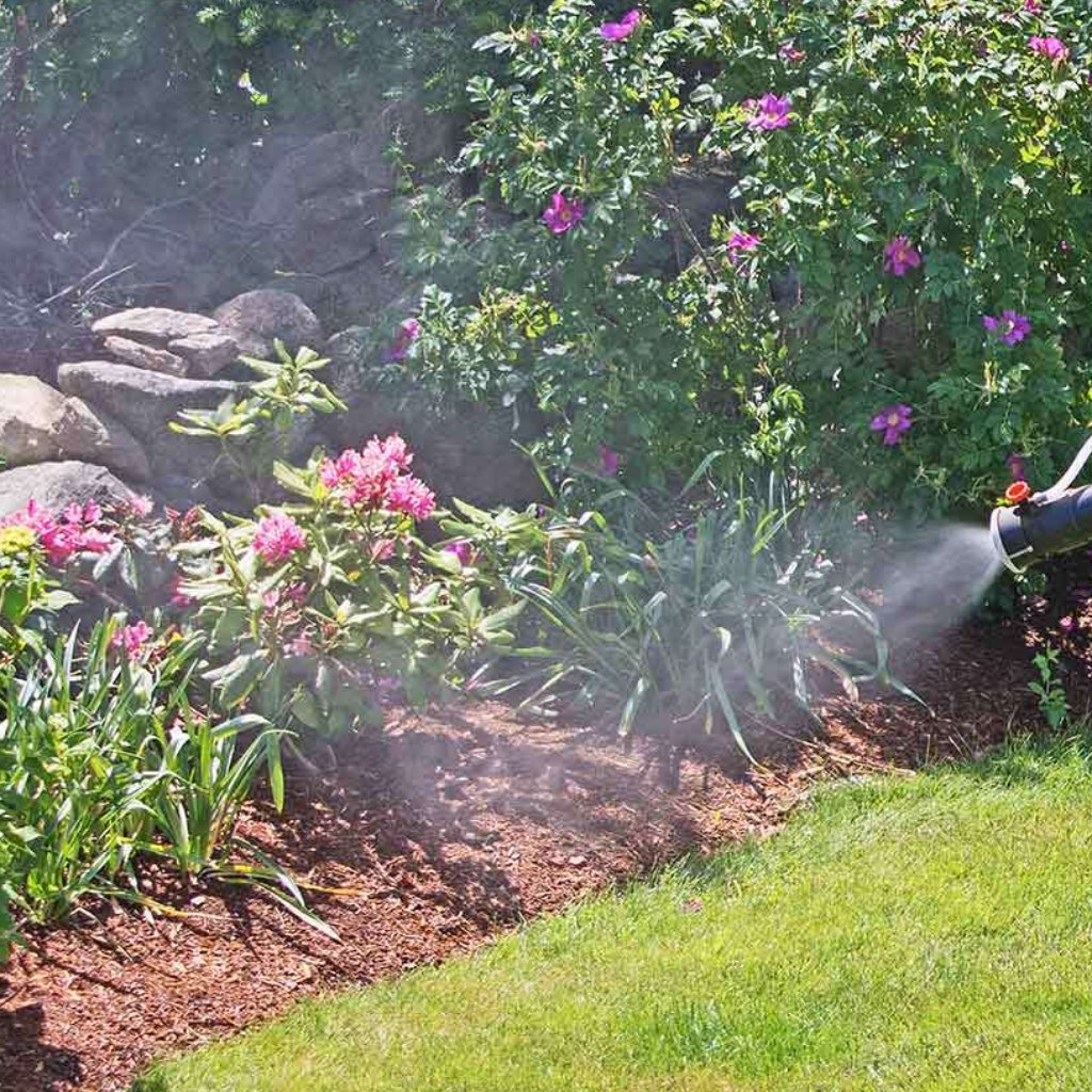 Perimeter Pest Control Delaware, Lewis Center & Powell, OH Hoffmans