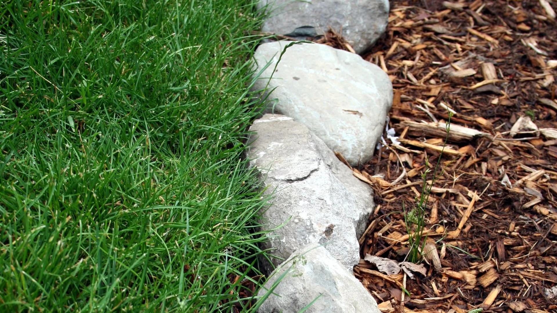 Mulch vs Rock - Which Ground Cover Is Better for Your Landscape Beds?