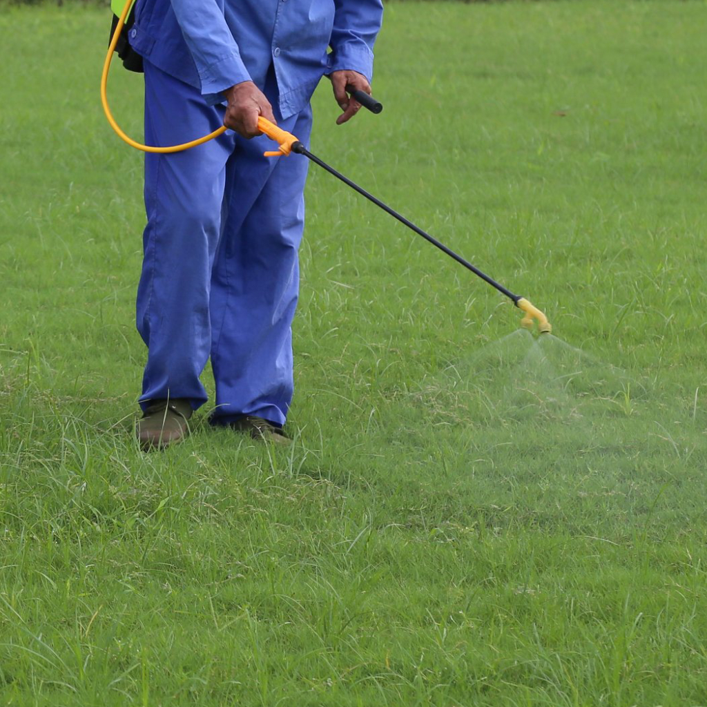 Want a Weed-Free Lawn? Use Both Pre- & Post-Emergent Weed Control!