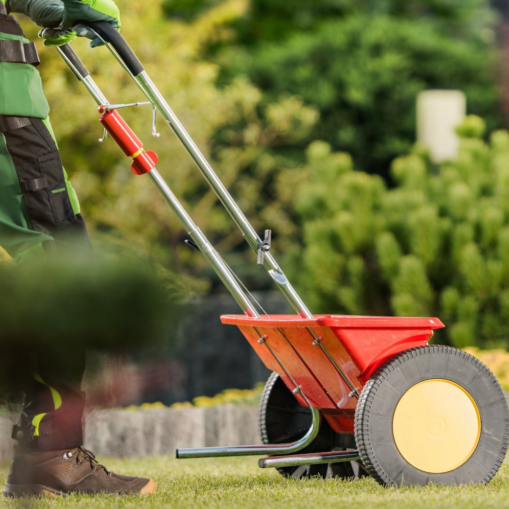 Don’t Forget to Have Your Lawn Fertilized During the Summer Season!