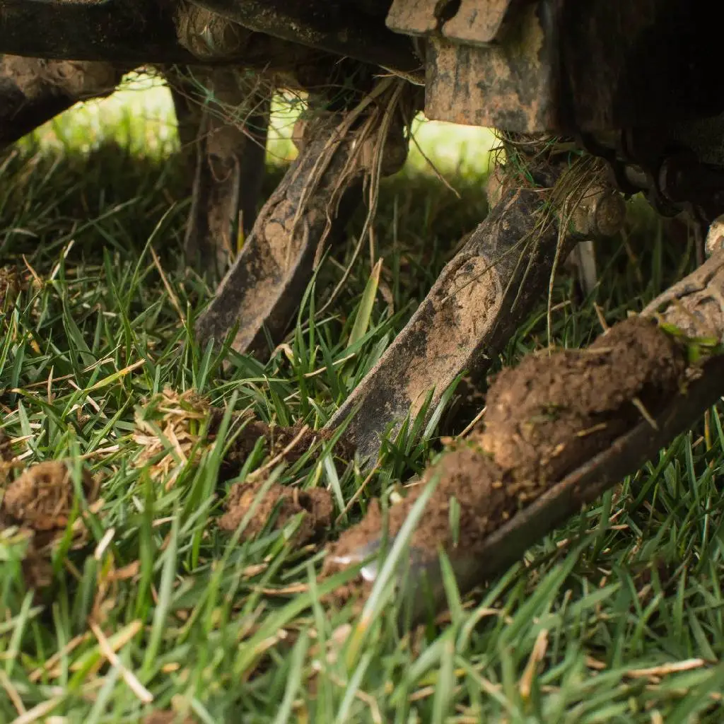 Why Core Aerating Your Lawn This Fall Will Bolster Its Health
