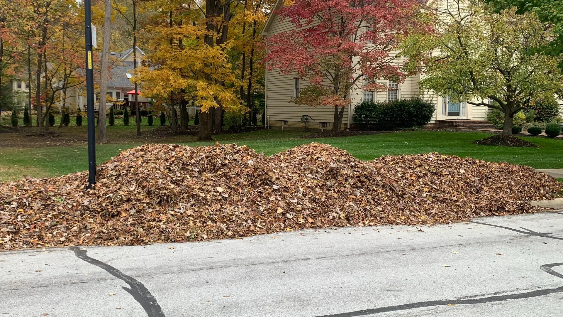 Can You Just Wait Until All the Leaves Fall Before Picking Them Up?