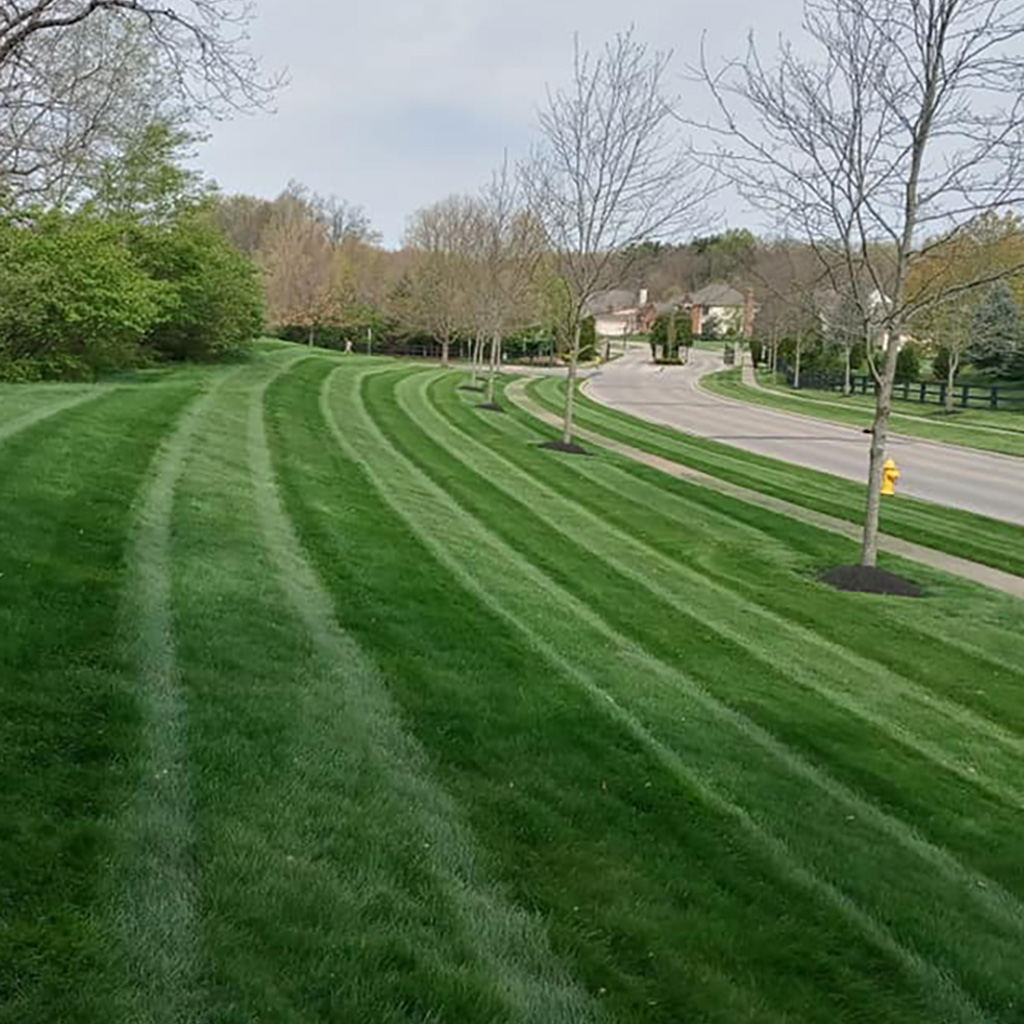 Prominent stripes from mowing service added to lawn in Dublin, OH.