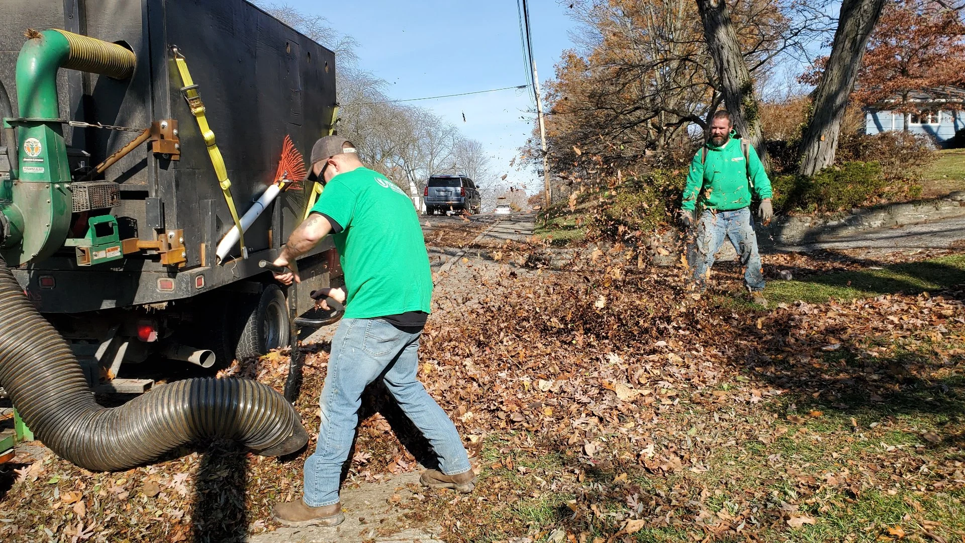 Is It Bad to Remove the Leaves on Your Lawn?