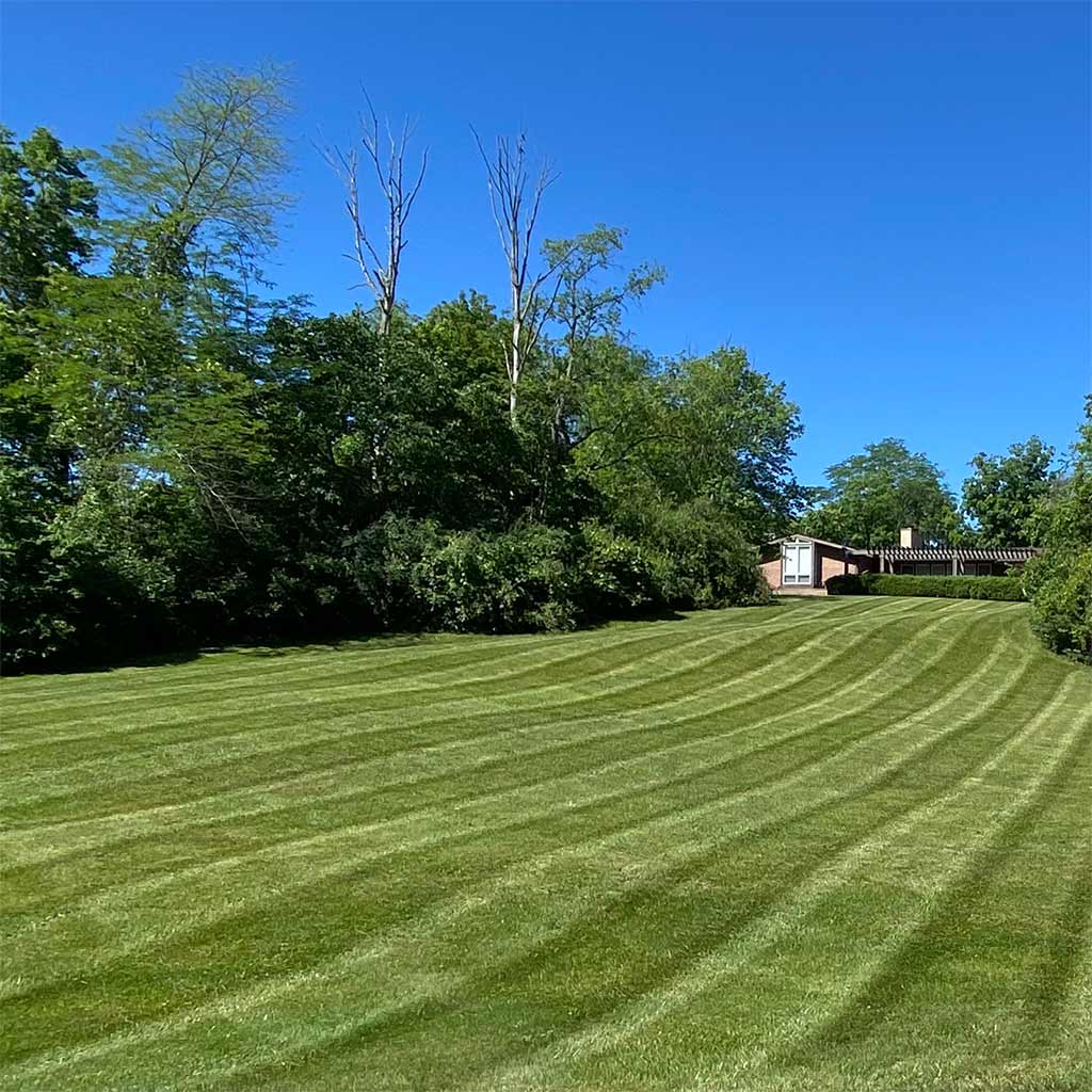 Rolling yard with mowing lines at a property in Delaware, Ohio.