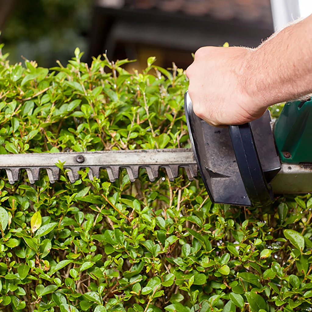 Shrub being trimmed by a professional in Powell, OH.