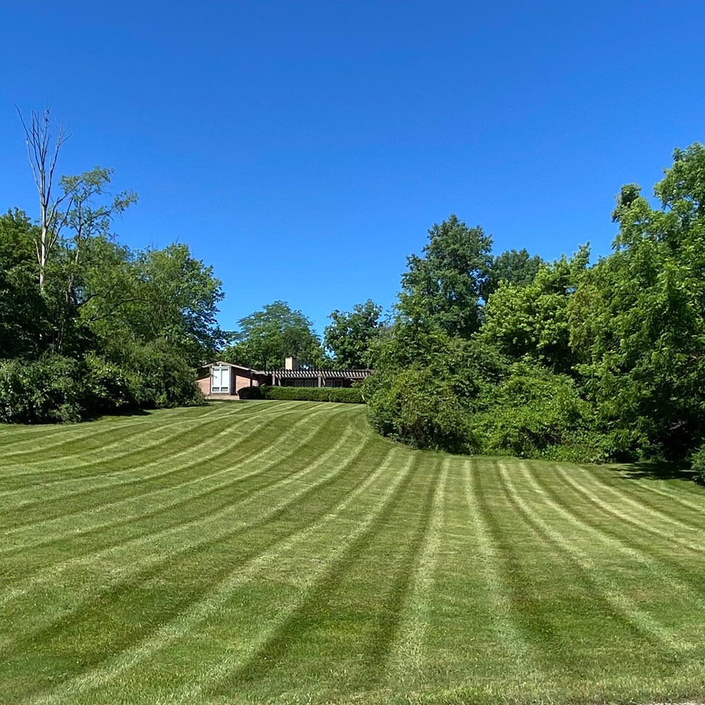 Striped lawn after mowing services performed in Delaware, OH.