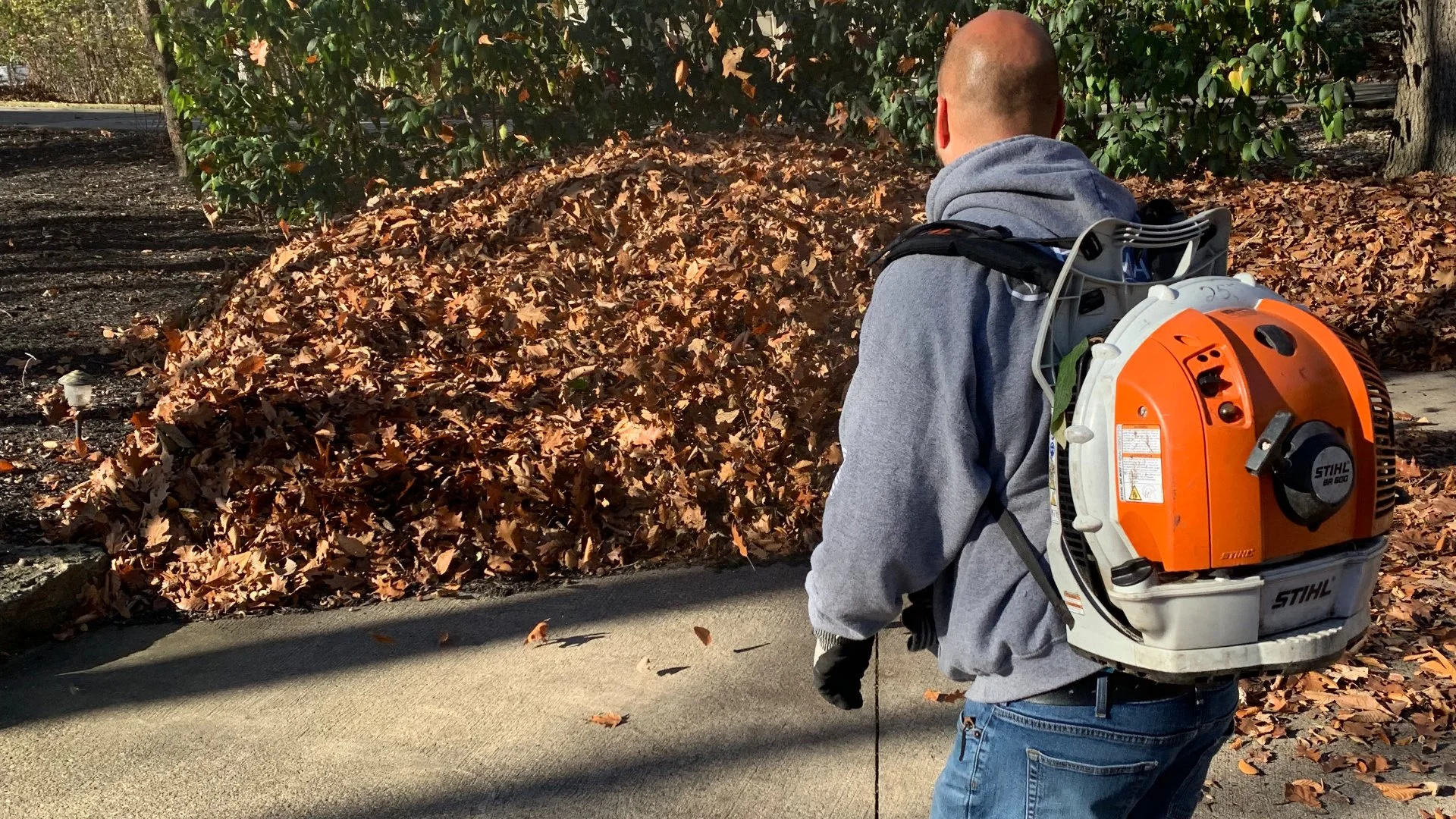 3 Ways to Clean Up Leaves From Your Yard