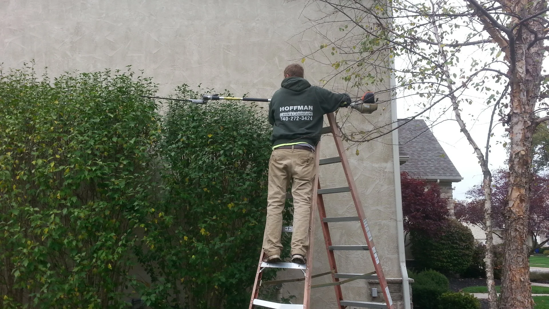 When to Trim & Prune Your Plants in Delaware, OH