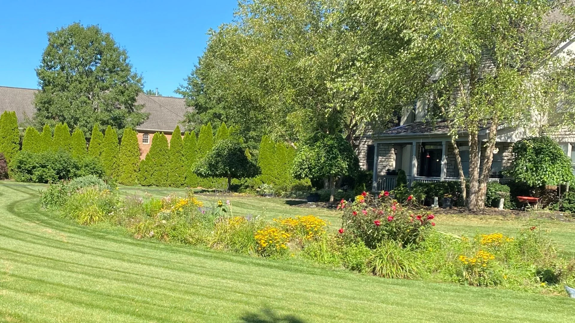 Fall Cleanups: More Than Just a Curb Appeal Boost for Your Lawn