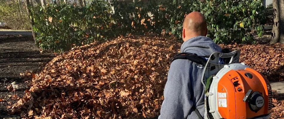 Crew blowing leaves from a lawn in Delaware, OH.