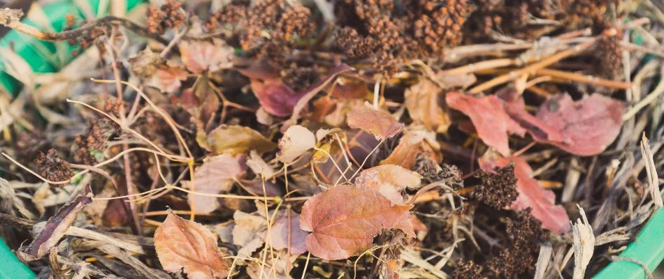 Debris from a yard in Delaware, OH.